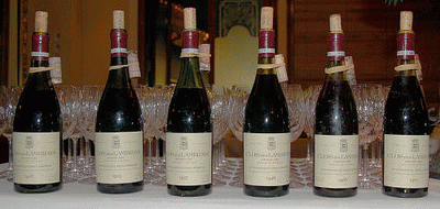 vieux Millesimes rares Bourgogne - Petraea